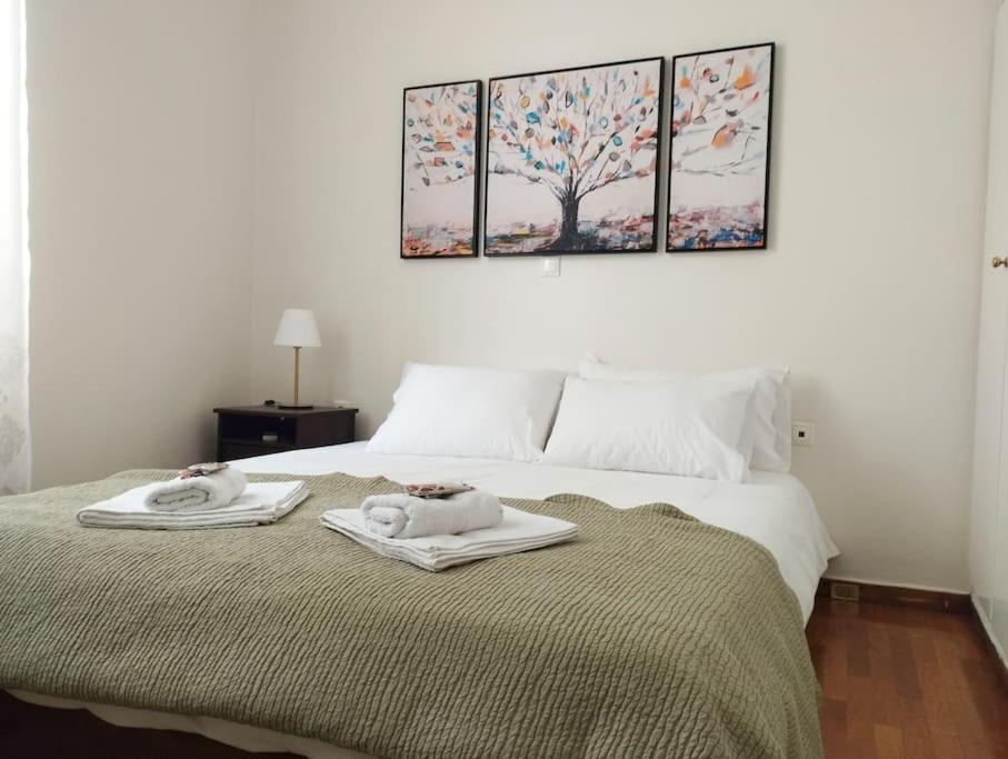Calliope'S Neoclassical Home In The Heart Of Plaka Atena Exterior foto